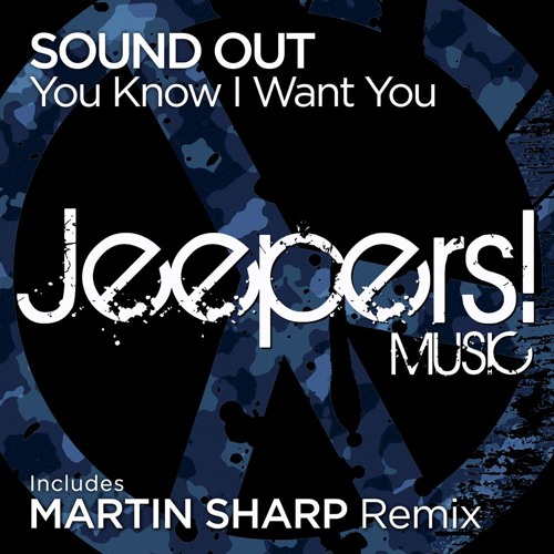 Sound Out - You Know I Want You - mixes