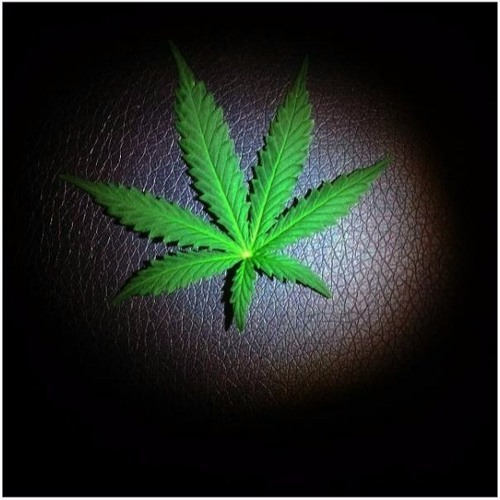 Marijuanaville