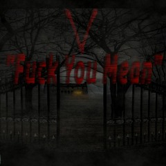 V'- Fuck You Mean