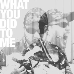 What You Did To Me