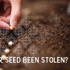 Has Your Seed Been Stolen?