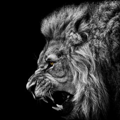 Hydrolik ft. Mad Skanker - Lion's Revenge