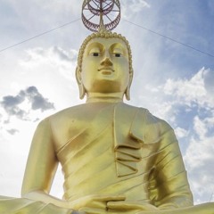YOGA: breathe, connect, live and love