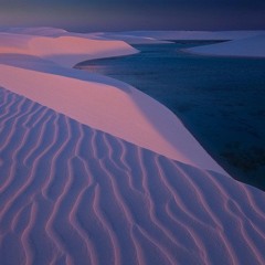 everyday 33 (August 17 17)