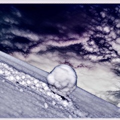 Flex X Twiggz Da Don - On A Roll @Whip_flex @Twiggzdadon