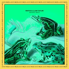 rrotik & Lliam Taylor - Bounce Back