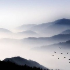 Dreaming from the edge