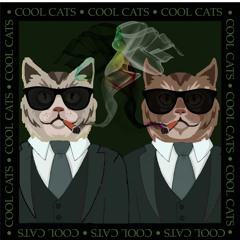 Cool Cats Ft. Sunnieyoo