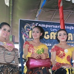 Srihuning Tondomoto Megantara