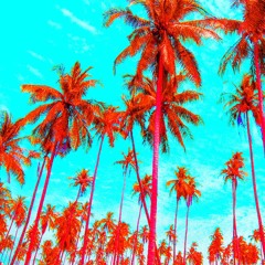 Summer Vibes