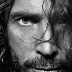 Shadow on the sun - Audioslave (Tribute to Chris Cornell)