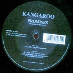 Kangaroo - promises