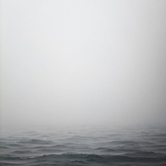 Ellen Phan + Bryan Schuessler - Live May 2015