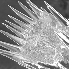 GREY FORM - Cream Snares - PROMO CUT