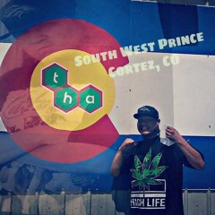 BLOODS THICKER THAN WATER (#swpproductions) ft South West Prince