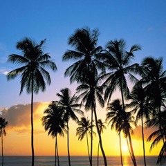 DJ BOB RADIO DANCE HITS MIX (SUMMER 2017)