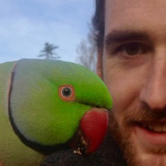 Bruce Lee In My Dreams Again