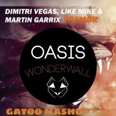 Tremor Himself Vs Wonderwall - Dimitri Vegas and Like Mike - Oasis (GatooMashup).mp3