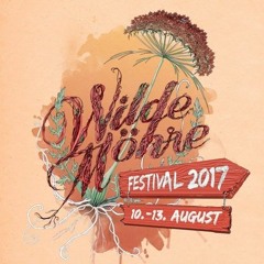 Broschek @ Wilde Möhre Festival 2017