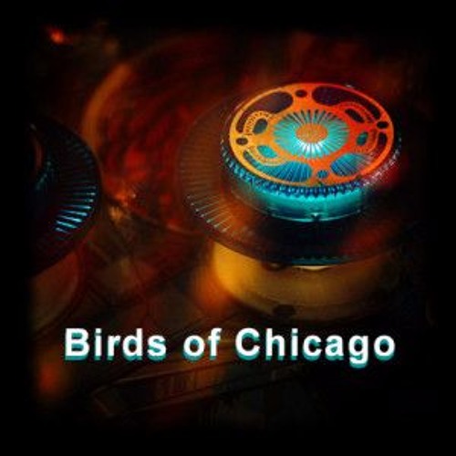 Stream Birds Of Chicago Remembering Wild Horses by Pinball Sessions Listen online for free