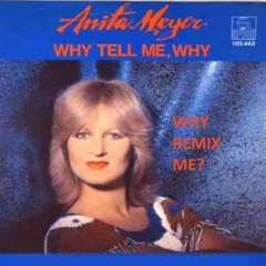 Why Tell me Why? (Why Remix This?)