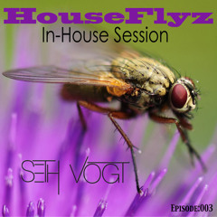 Seth Vogt - HouseFlyz (In-House Sessions 003)