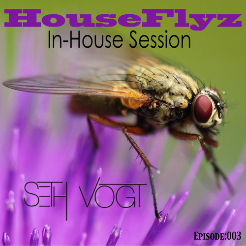 Seth Vogt - HouseFlyz (In-House Sessions 003)