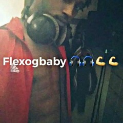 Flex - Serious[1]