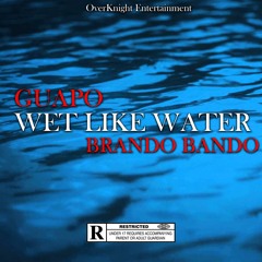 Wet Like Water Ft BrandoBando
