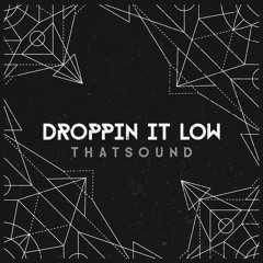Droppin It Low [Teknofonic Recordings]