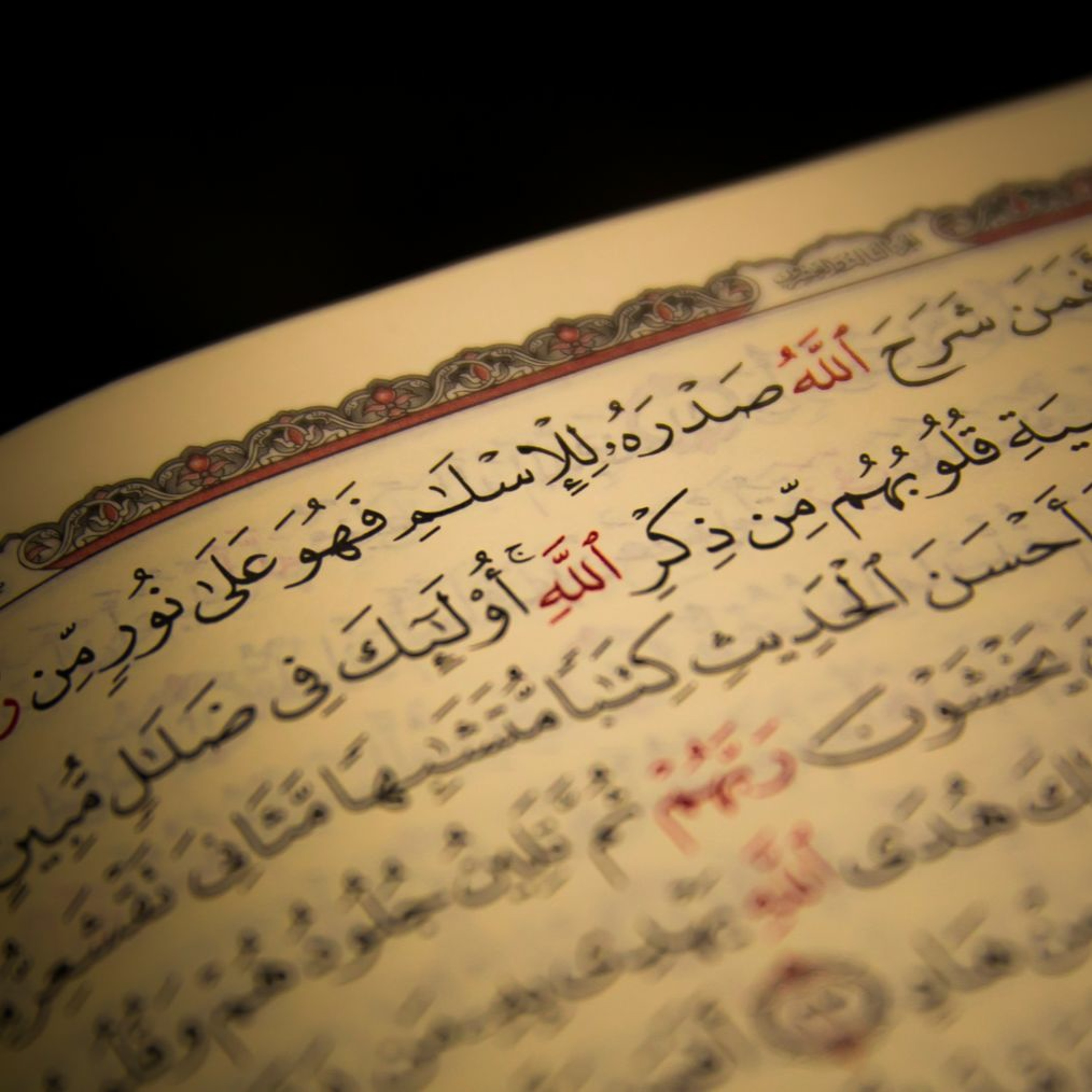 رعد محمد الكردي جديد لأول مرة ينشر - وَرَبُّكَ الْغَفُورُ ذُو الرَّحْمَةِ episode artwork