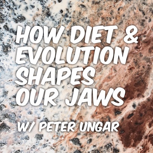 How Diet & Evolution Shapes Our Jaws w/ Peter Ungar