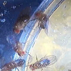 it's 3:59am - and i'm out creeping