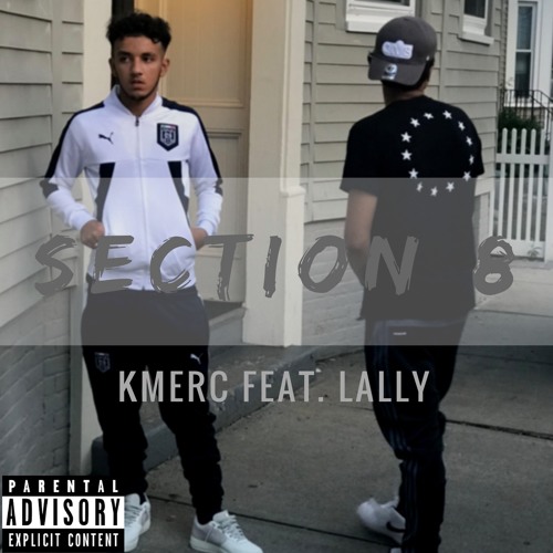 SECTION 8 FEAT.LALLY (PROD. HD)