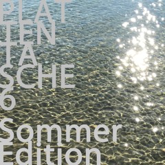 Plattentasche 6 (Sommer Edition)