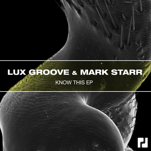 Lux Groove, Mark Starr - Know This - OUT NOW