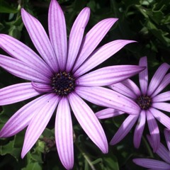 Coming In Off the Sidelines