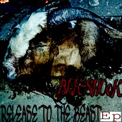 BlKSHooK- LiFE FlaSH