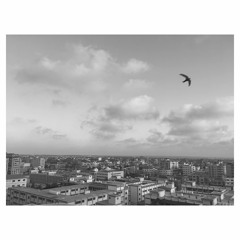 The Last Time We Will Fly Birds - Rahim AlHaj