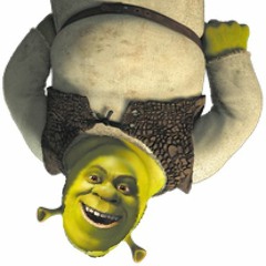 What Are You Doing In My Swamp - Shrek Remix