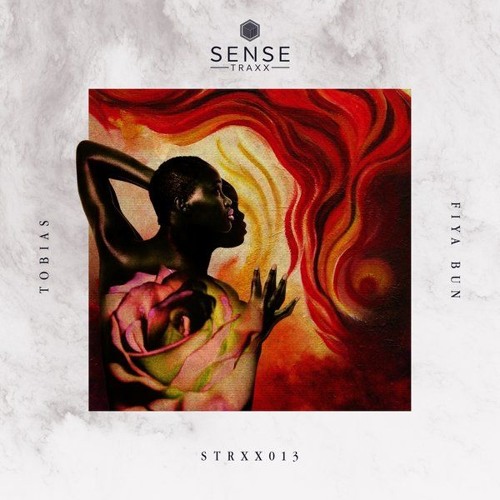 PREMIERE: Tobias - The Funk [Radio Edit] [Out Now On Sense Traxx]