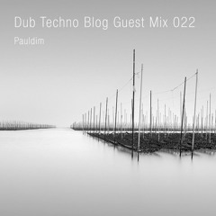 Dub Techno Blog Guest Mix 022 - Pauldim