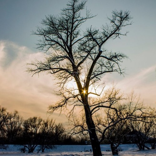 The Magic Of Nature