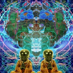 Rishi - Close your eyes and look (e-view rmx)