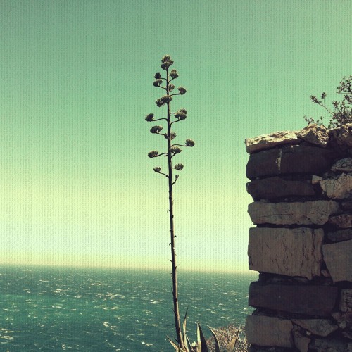 Polaroid Notes - Days Of Our Lives EP