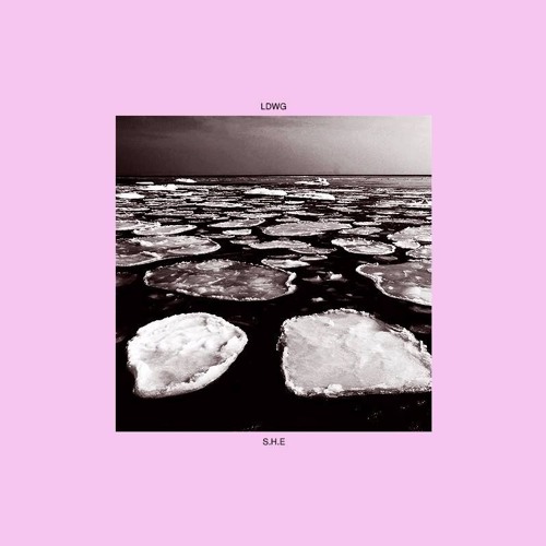 LDWG - S.H.E [ENM007]
