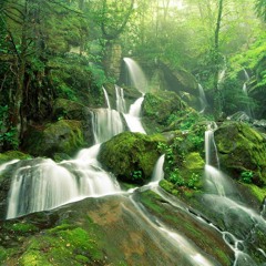 نهاية سورة يس تلاوة رائعة للقارئ سعيد الخطيب 1437