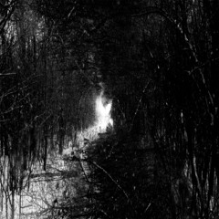 The Silent Metro