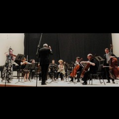 Capriccio, for Violin and thirteen instruments (2017)