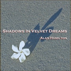 Shadows In Velvet Dreams